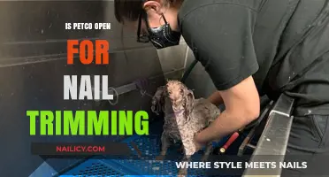 Petco Nail Trimming: Is It Available?
