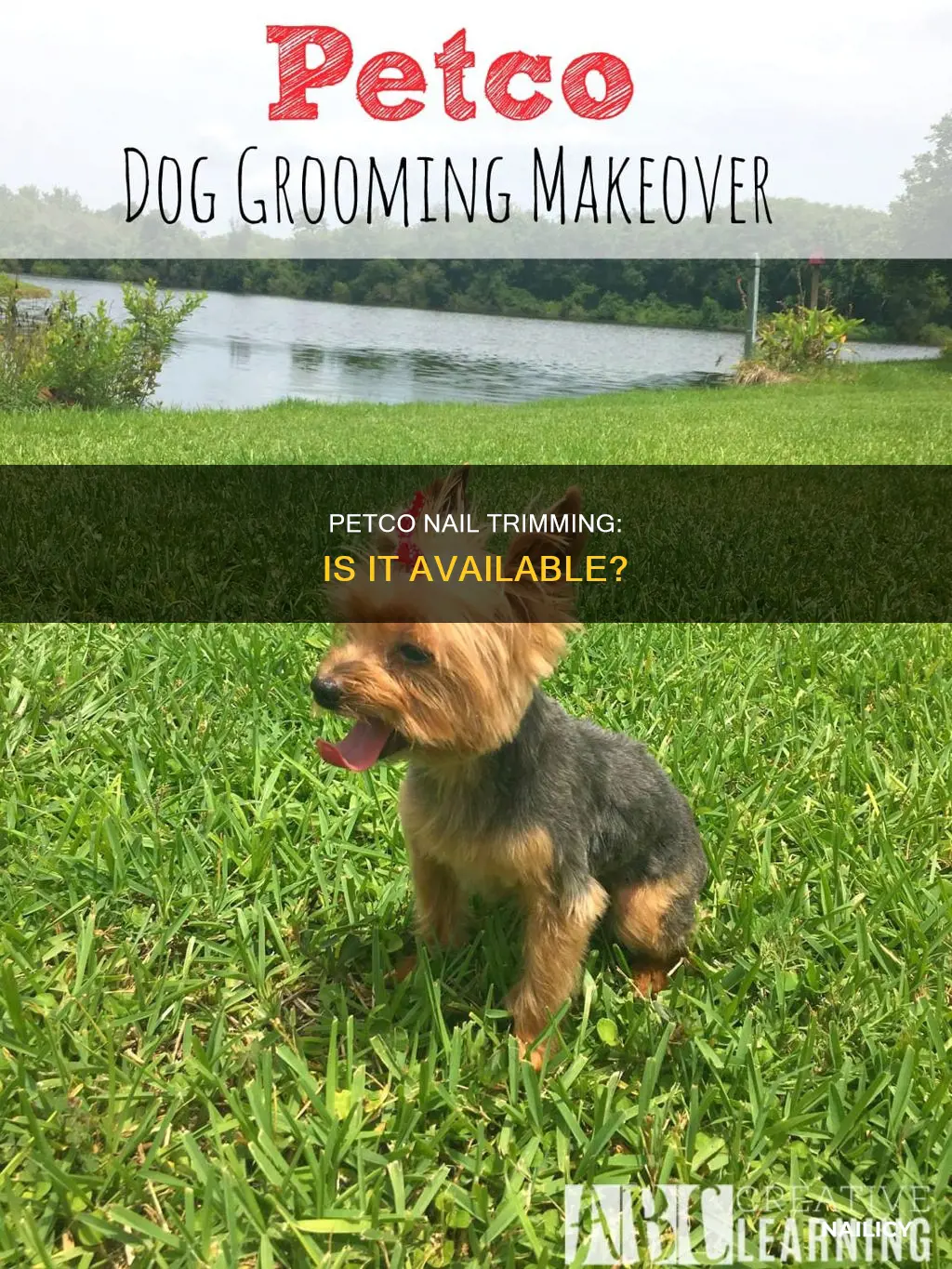 is petco open for nail trimming