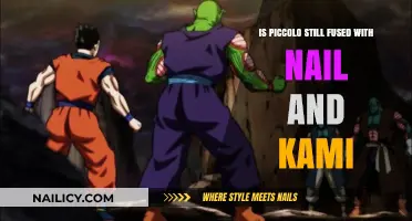 Piccolo's Fusion Status: Are Nail and Kami Still United?