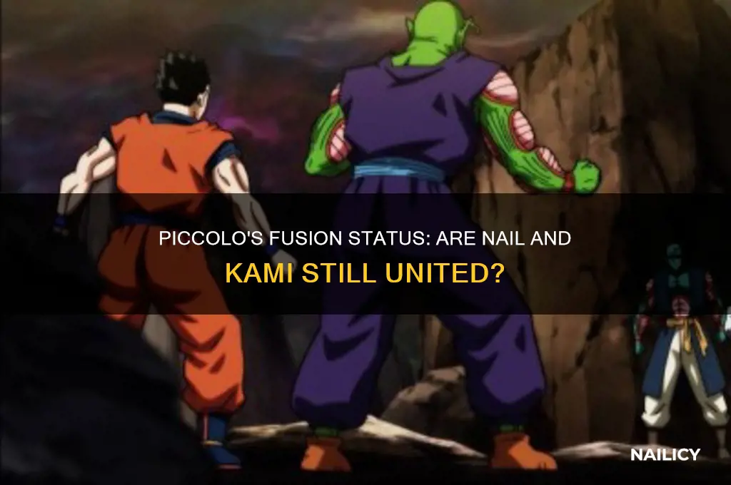 is piccolo still fused with nail and kami