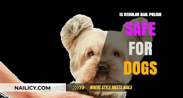 Is Regular Nail Polish Safe for Dogs? What Pet Owners Should Know