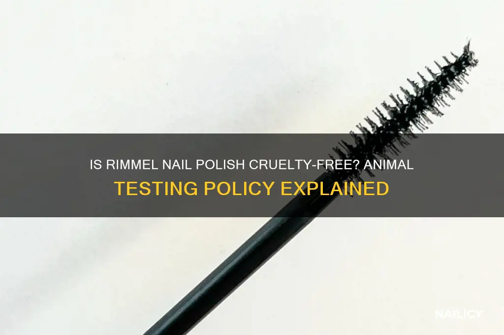 is rimmel nail polish tested on animals