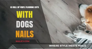 Vinyl Flooring and Dogs: Are Nails a Problem?