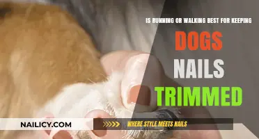 Running vs. Walking: Which Trims Dog Nails Better?
