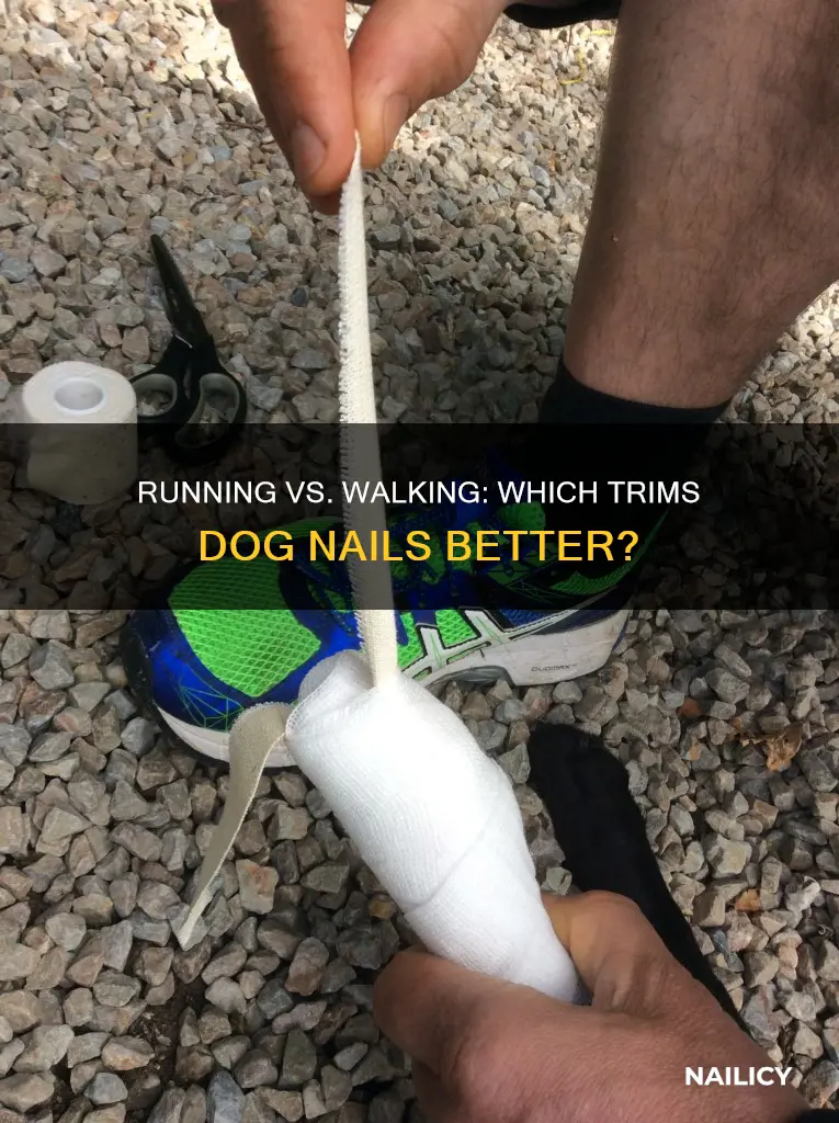 is running or walking best for keeping dogs nails trimmed