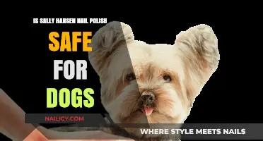 Is Sally Hansen Nail Polish Dog-Safe? A Pet Owner's Guide