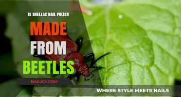 Shellac Nail Polish: Beetle-Based or Beauty Myth?