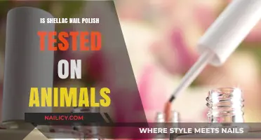 Is Shellac Nail Polish Cruelty-Free? Animal Testing Explained