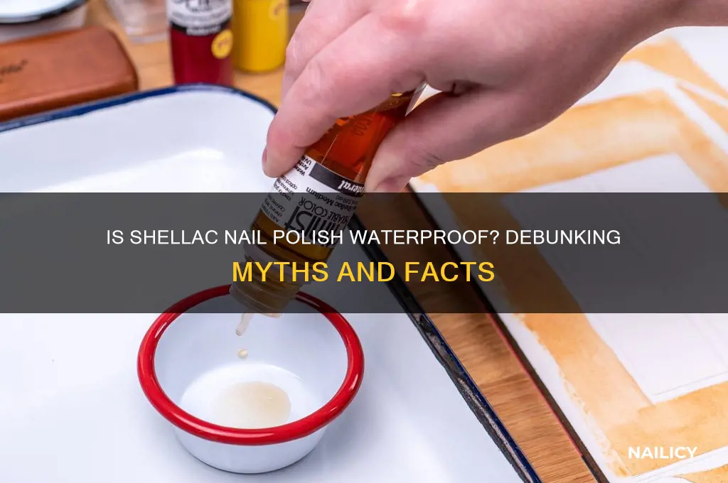 is shellac nail polish waterproof
