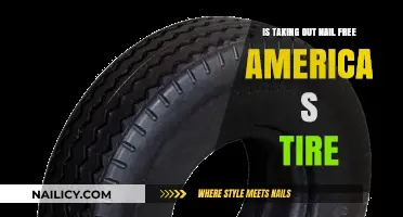 Nail-Free Tires: Are They the Future of American Driving?