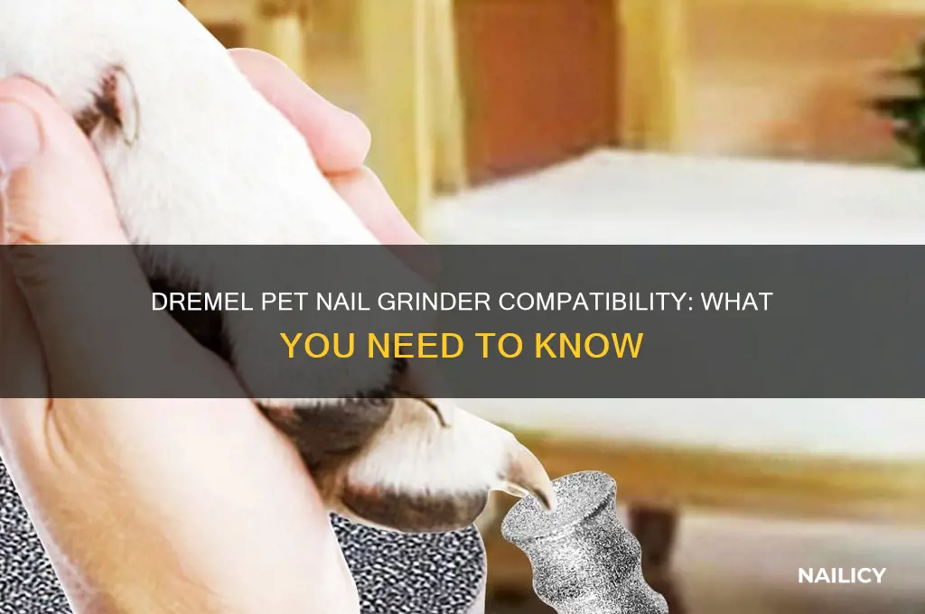is the dremel pet nail grinder compatable with