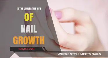 Lunula's Role: Unveiling the Truth About Nail Growth Origins