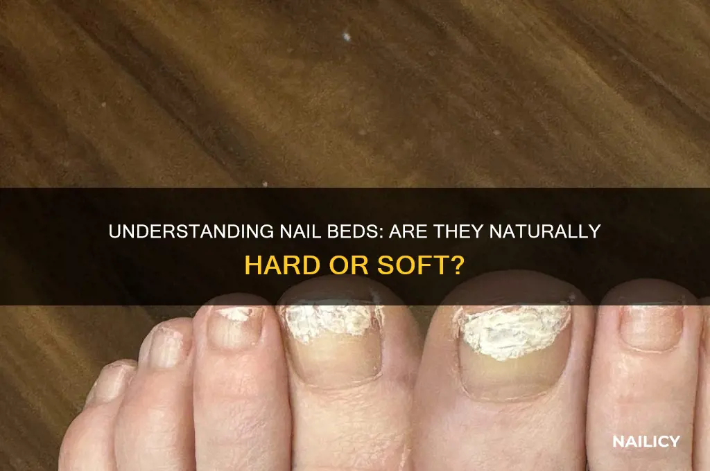 is the nail bed hard or soft