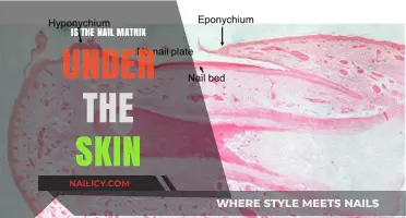Understanding the Nail Matrix: Is It Truly Beneath the Skin?