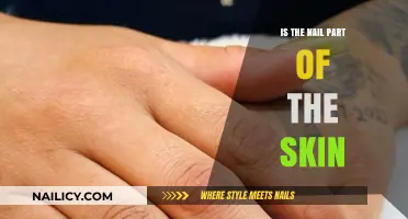 Are Nails Skin? Unraveling the Connection Between Nails and Skin