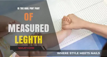 Does the Nail Tip Count in Measuring Leg Length?