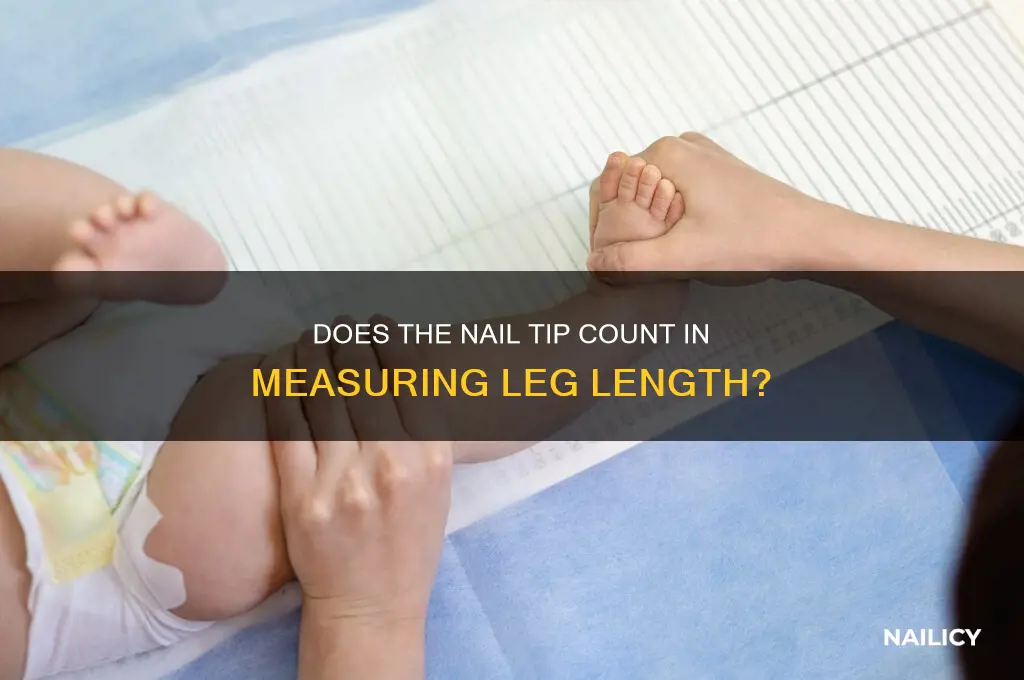 is the nail pint part of measured leghth