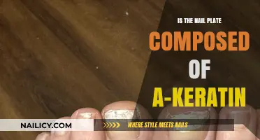 Is the Nail Plate Made of A-Keratin? Unveiling the Truth