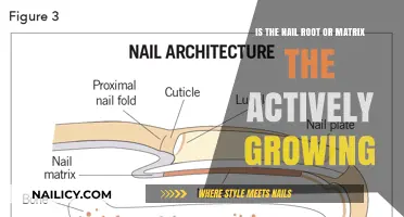 What You Need to Know About Nail Growth