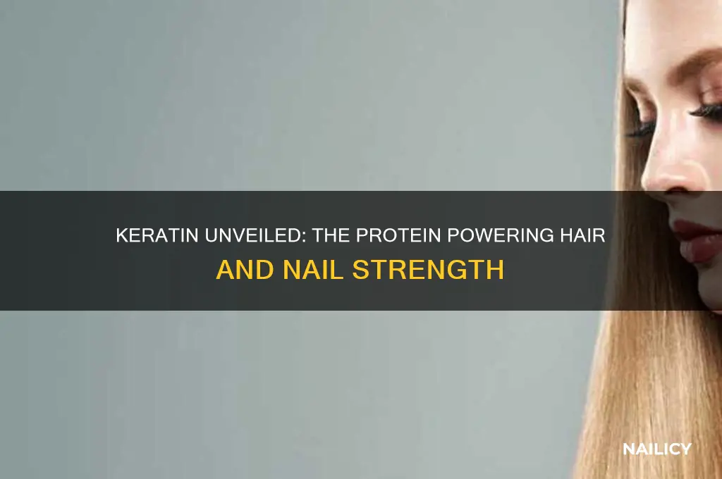 is the protein that makes up hair and nails