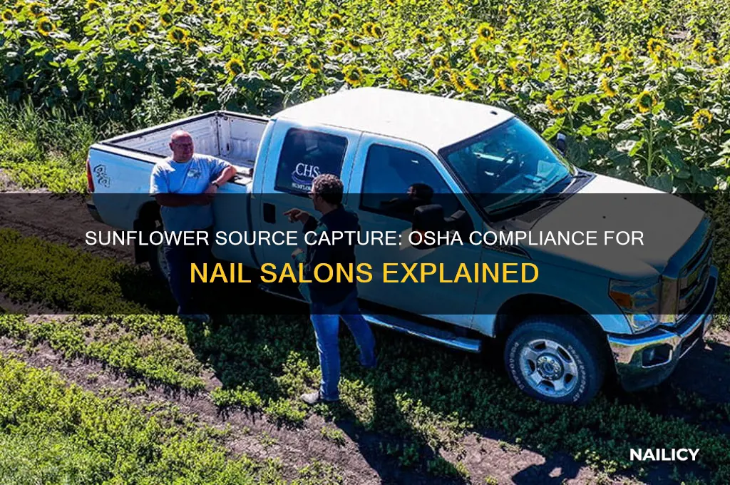 is the sunflower source capture osha compliant for nails salons