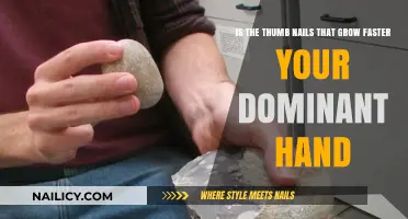 Why Do Thumb Nails Grow Faster?