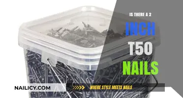 Exploring T50 Nail Sizes: Are 2-Inch Variants Available?