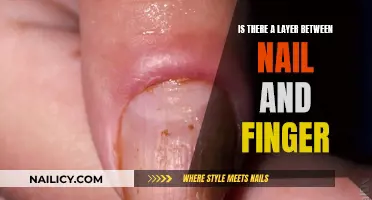 Exploring the Anatomy of Nails: Layers and Functions