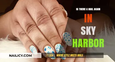 Sky Harbor Nail Saga: Is There Another Nail in the Runway?