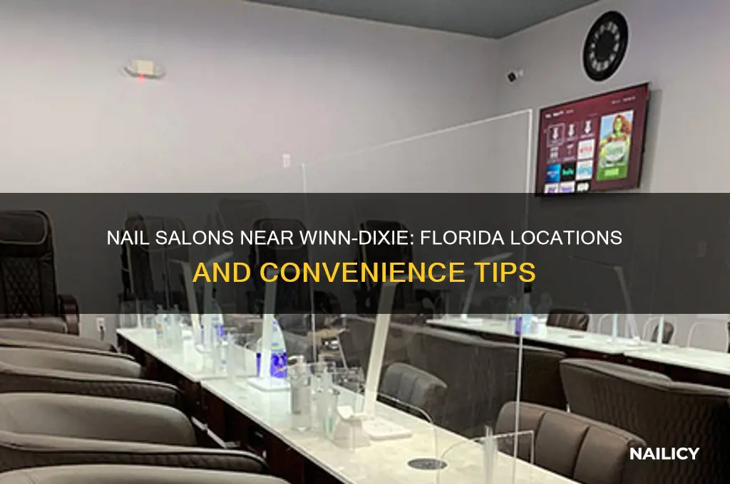 is there a nail salon by winn-dixie in florida