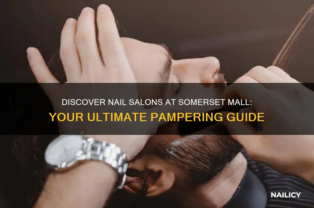 is there a nail salon in somerset mall