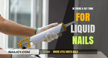 Liquid Nails Setting Time: What You Need to Know