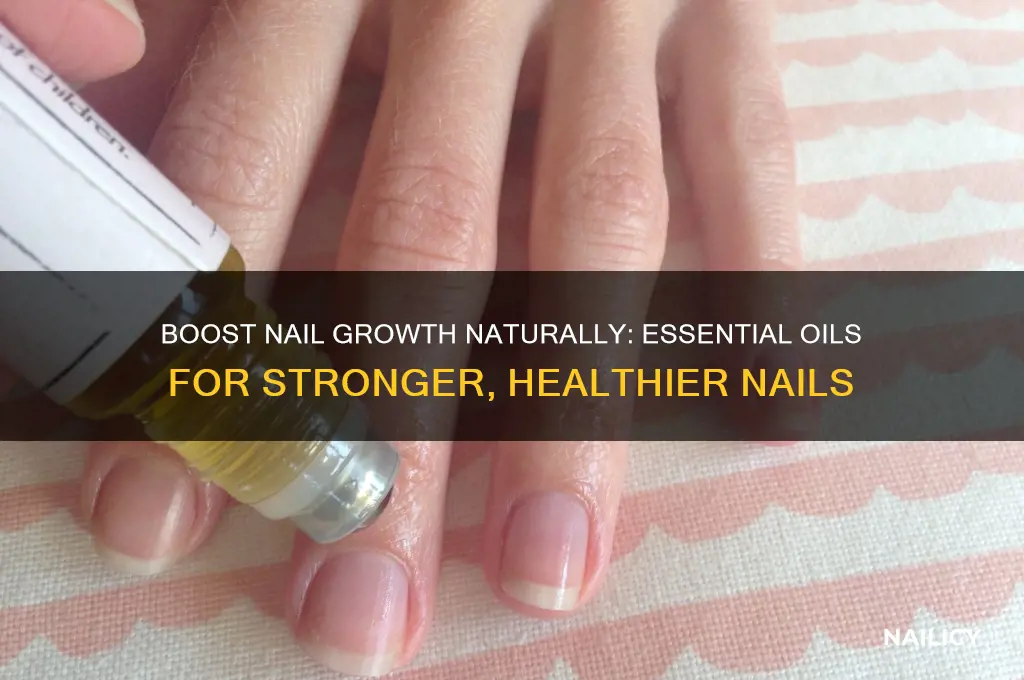 is there an essential oil for nail growth