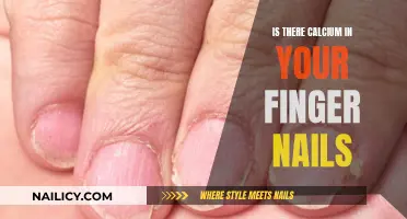 Calcium Content in Fingernails: What's the Truth?
