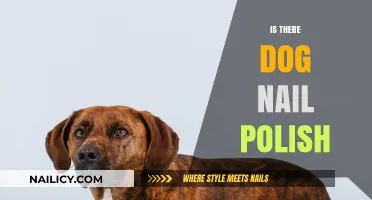 Dog Nail Polish: A Trendy Accessory or Paw-tection Essential?