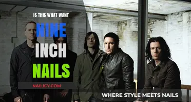 Is This What We Truly Want? Nine Inch Nails Explored