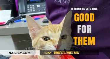 Trimming Nails: A Healthy Habit for Cats