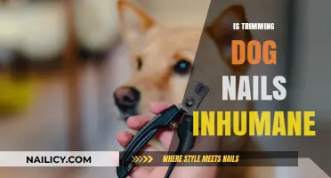 Trimming Dog Nails: Humane or Harmful?