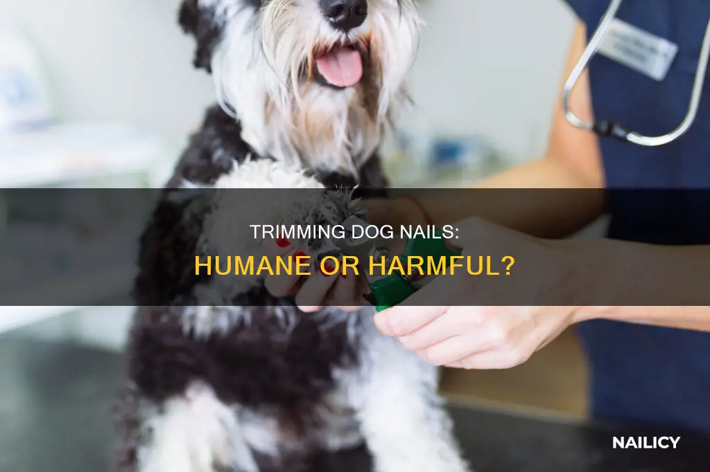 is trimming dog nails inhumane