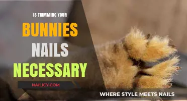Trimming Your Bunny's Nails: Essential Care or Unnecessary Risk?