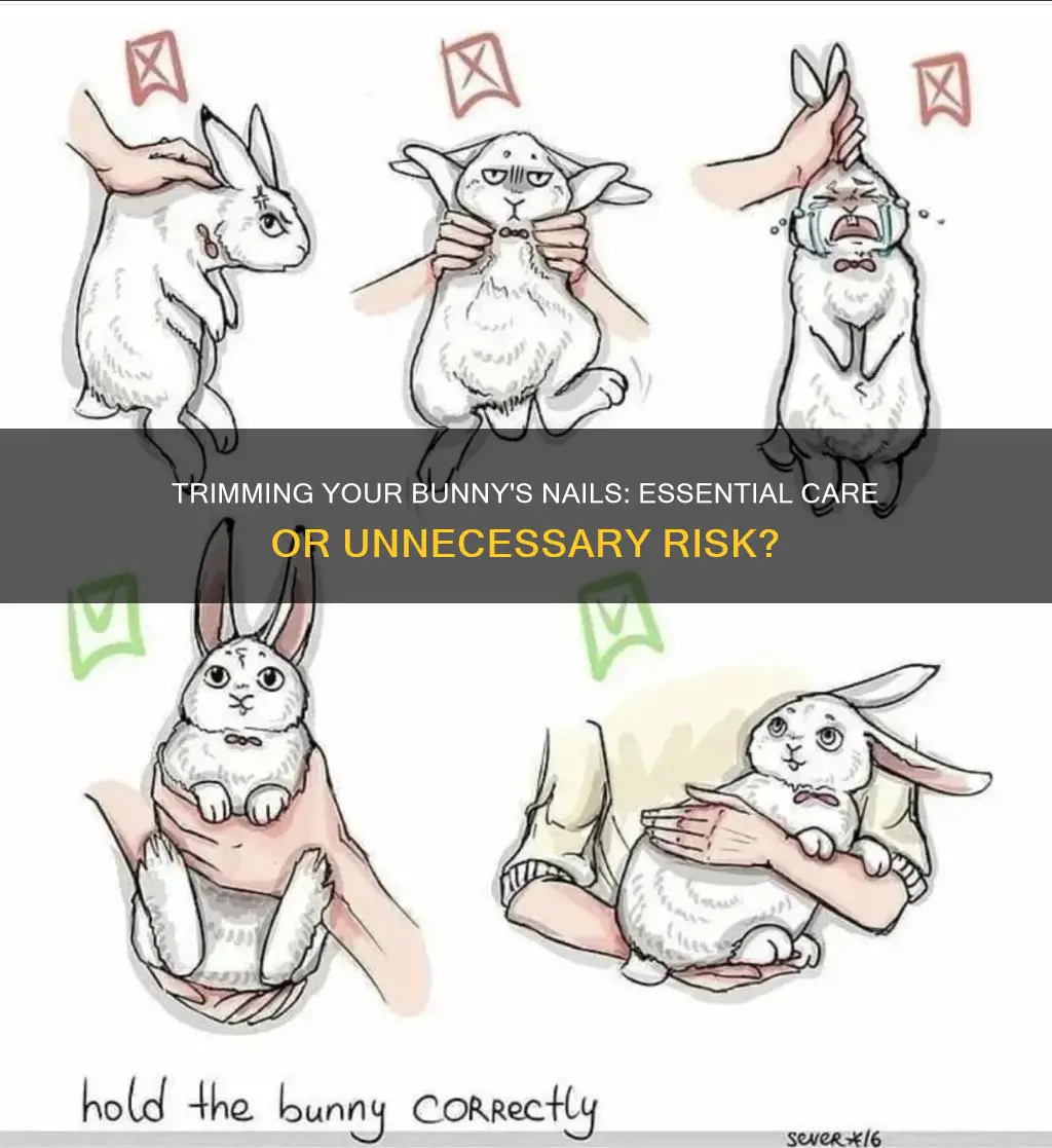 is trimming your bunnies nails necessary