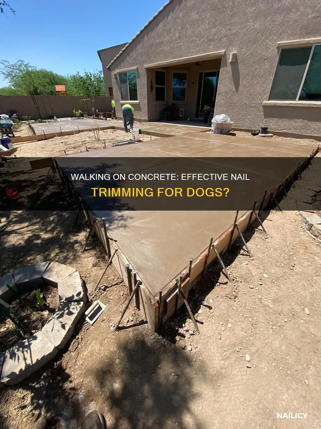 is walking on cement enough to trim dog
