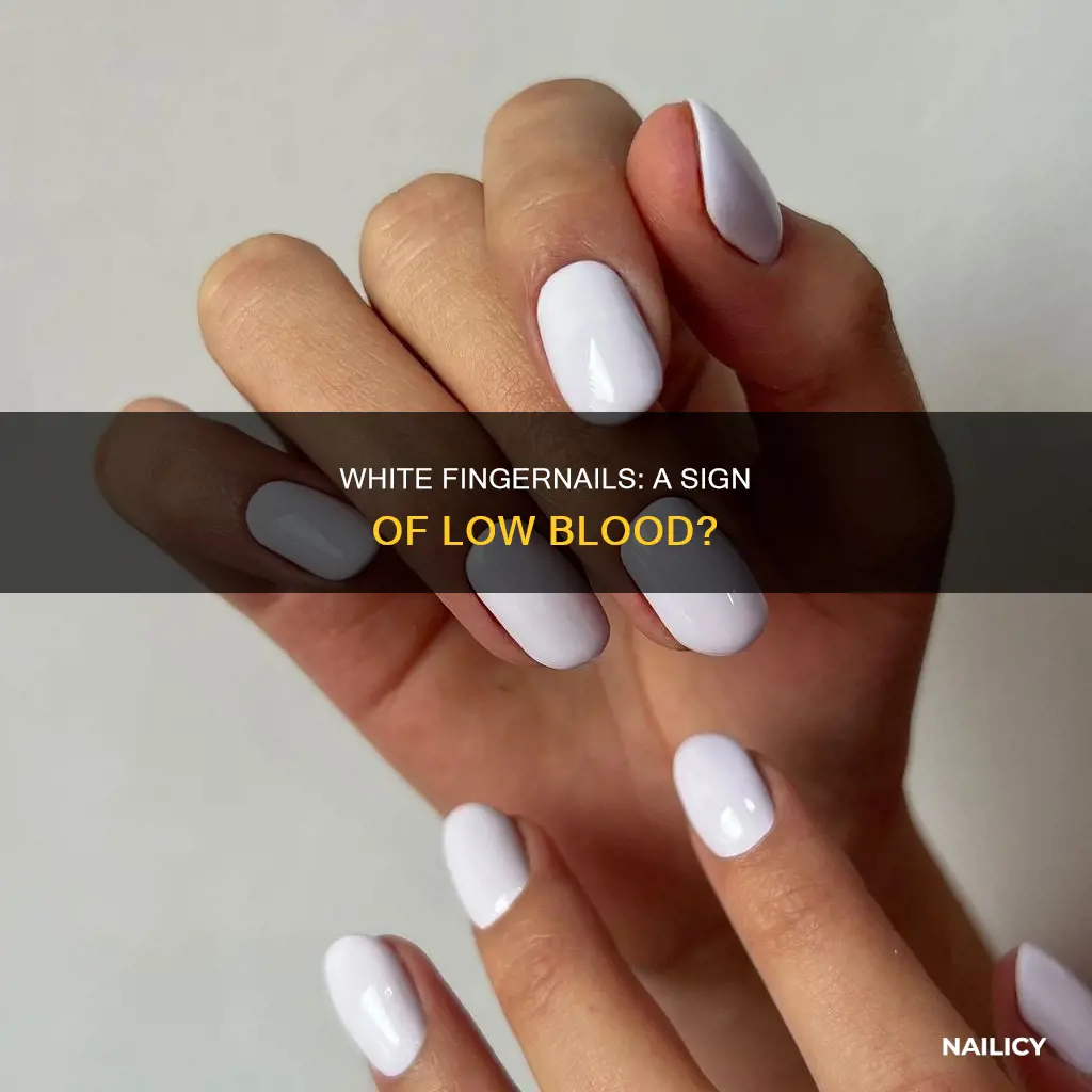 is white finger nails sign of low blood