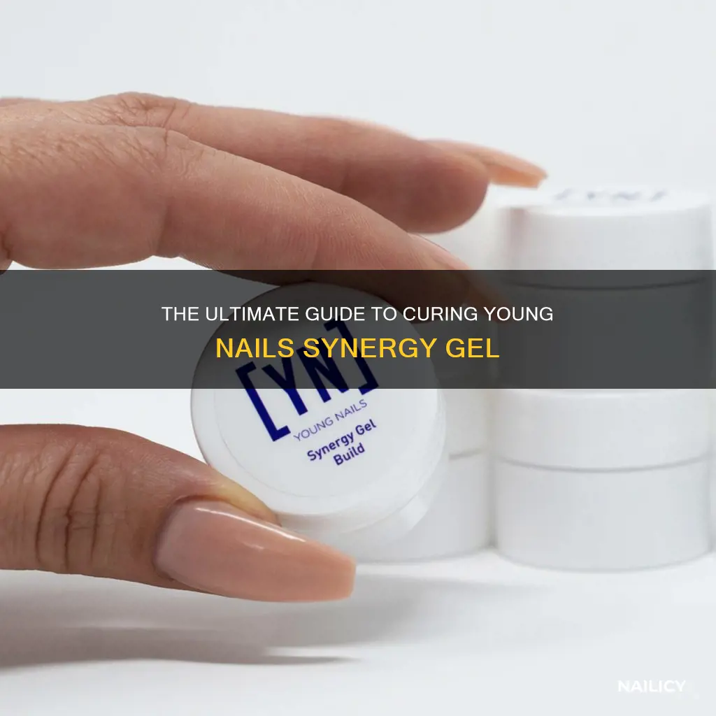 is young nails synergy gel led curable