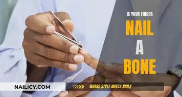 The Truth About Finger Nails: Bone or Not?