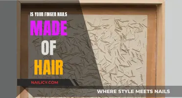 What Are Fingernails Made Of? Hair or Skin?