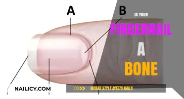 Are Fingernails Bones? Unraveling the Truth About Nail Composition
