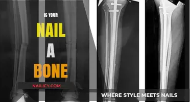 Are Nails Bones? Unraveling the Truth About Your Fingertips