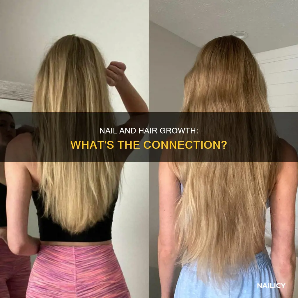 is your nails linked to how fast your hair grows