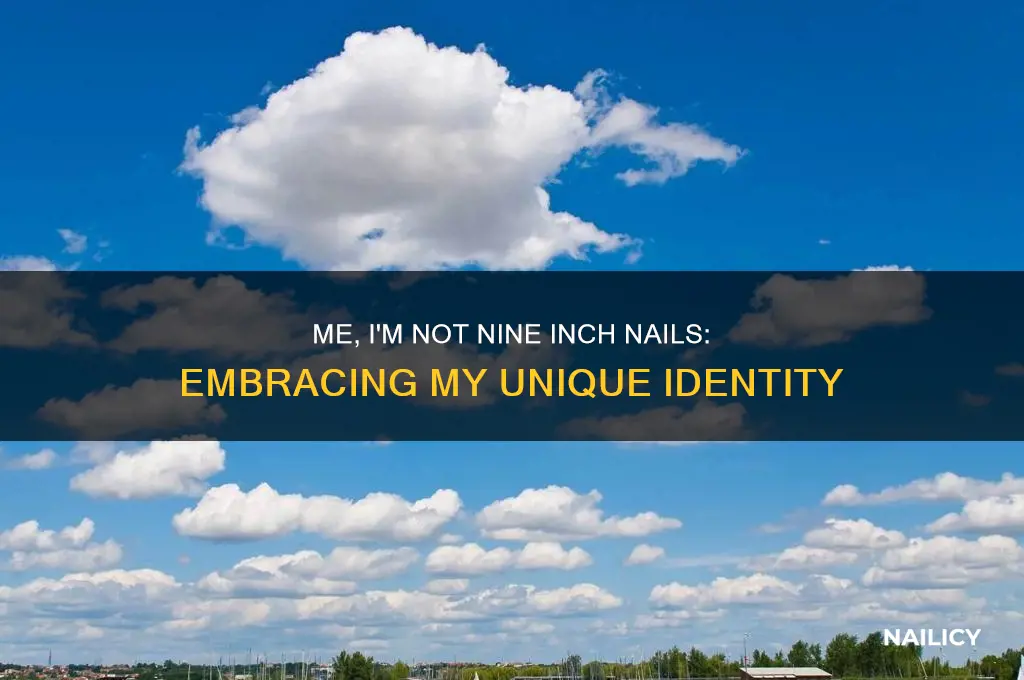 me i m not nine inch nails